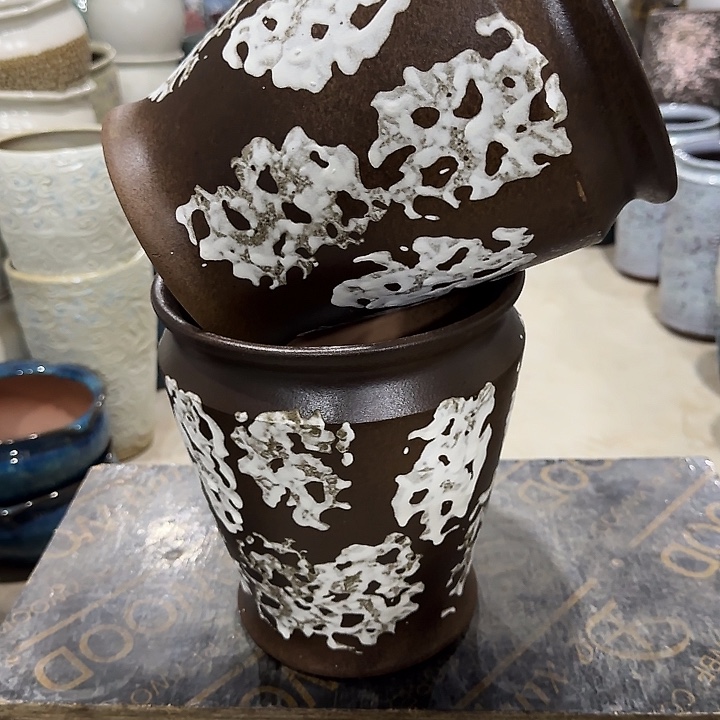 高度22口19啦啦啦花盆