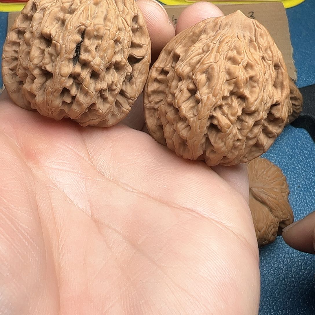 文玩核桃把件41虎头