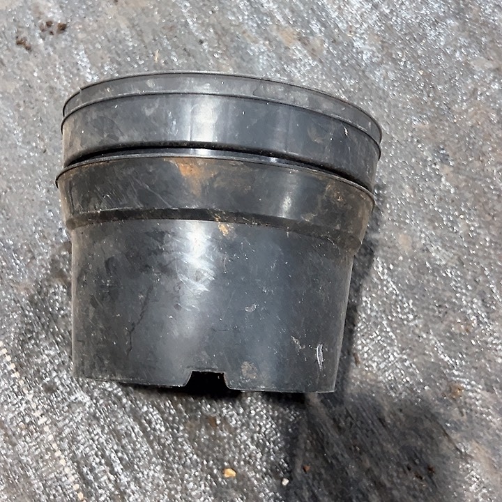 塑料口径17黑矮胖一组30个