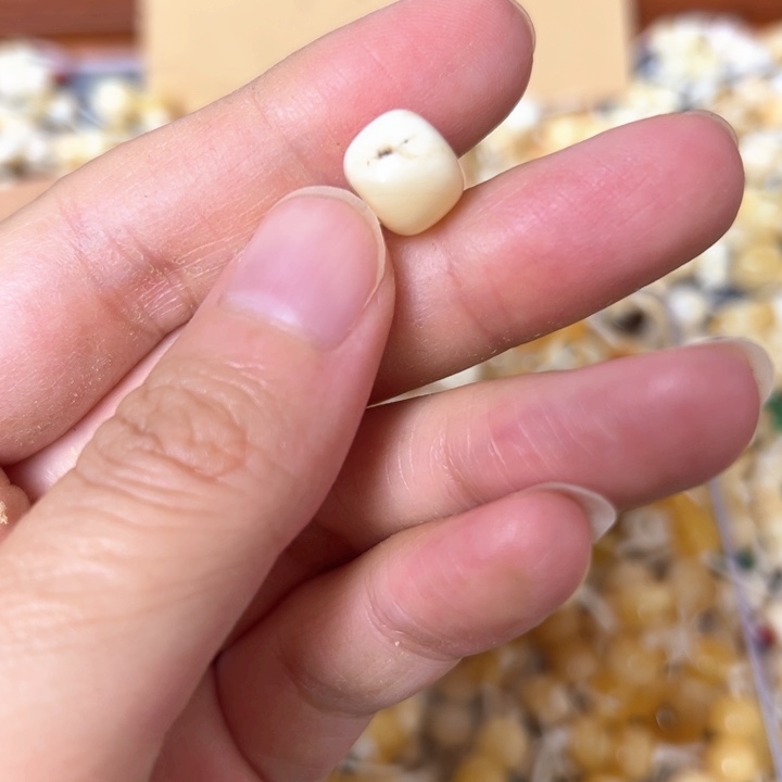 蜜蜡未镶嵌裸石9.9mm一个