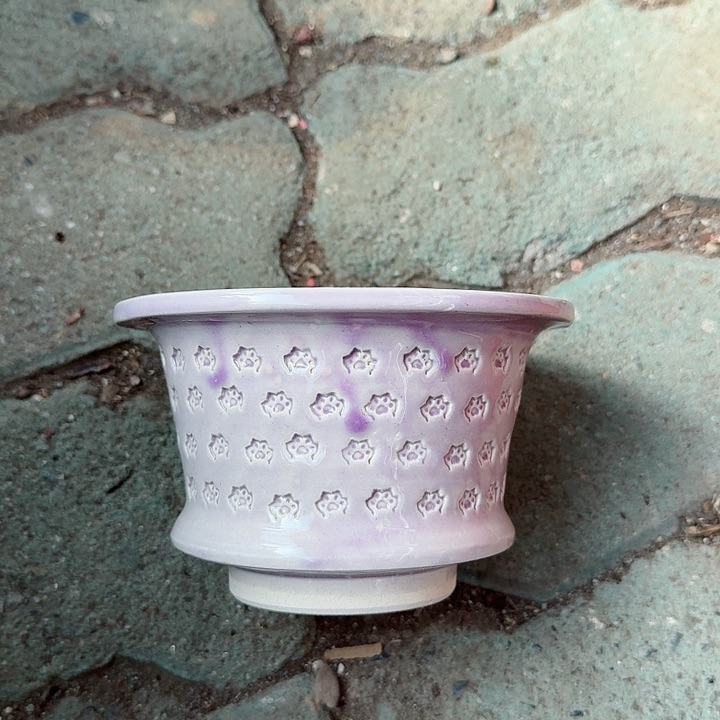 一西猫爪手工盆多肉