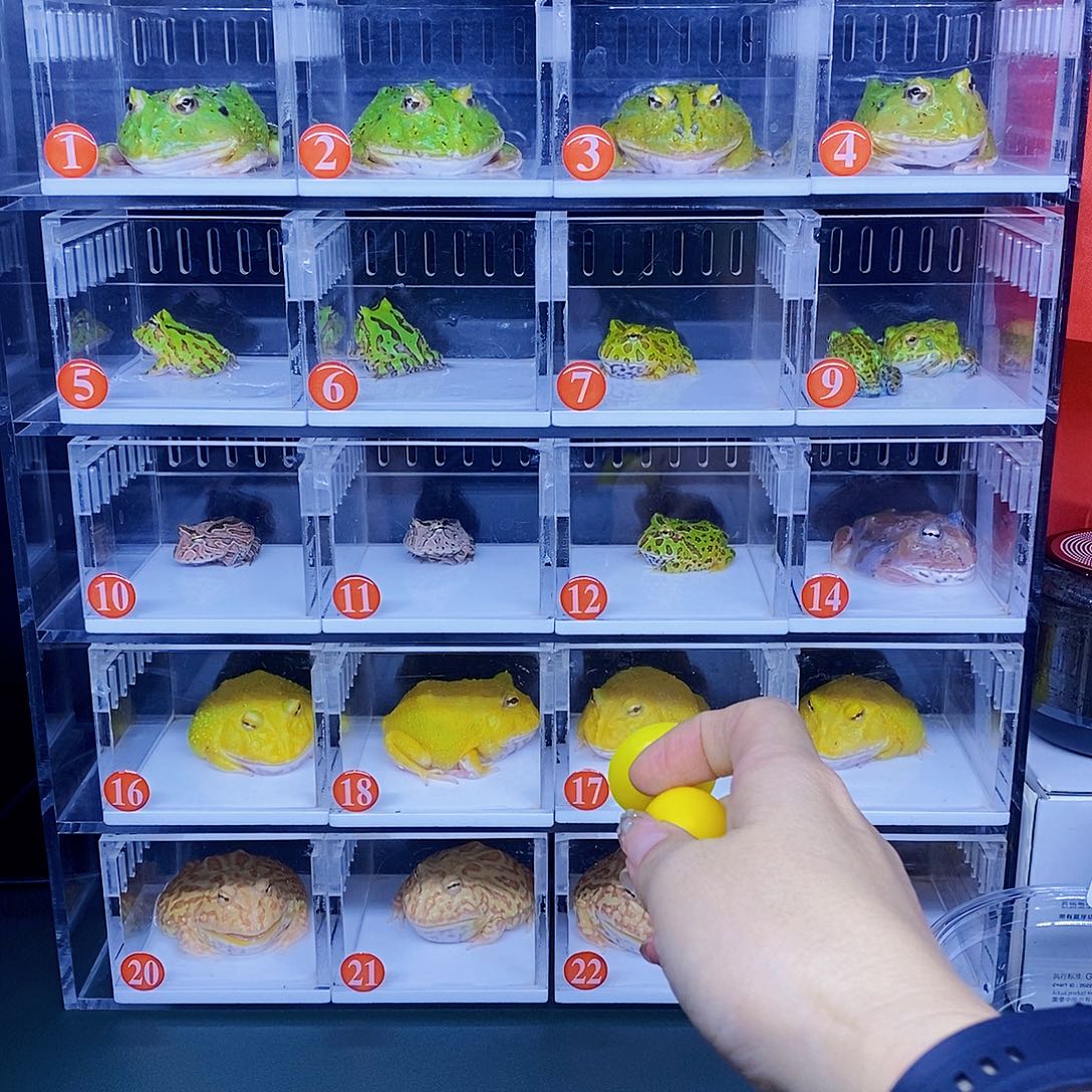 角蛙超皮。       