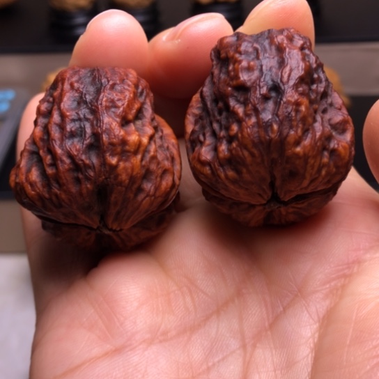 文玩核桃把件龙脊妖蟾地闷18