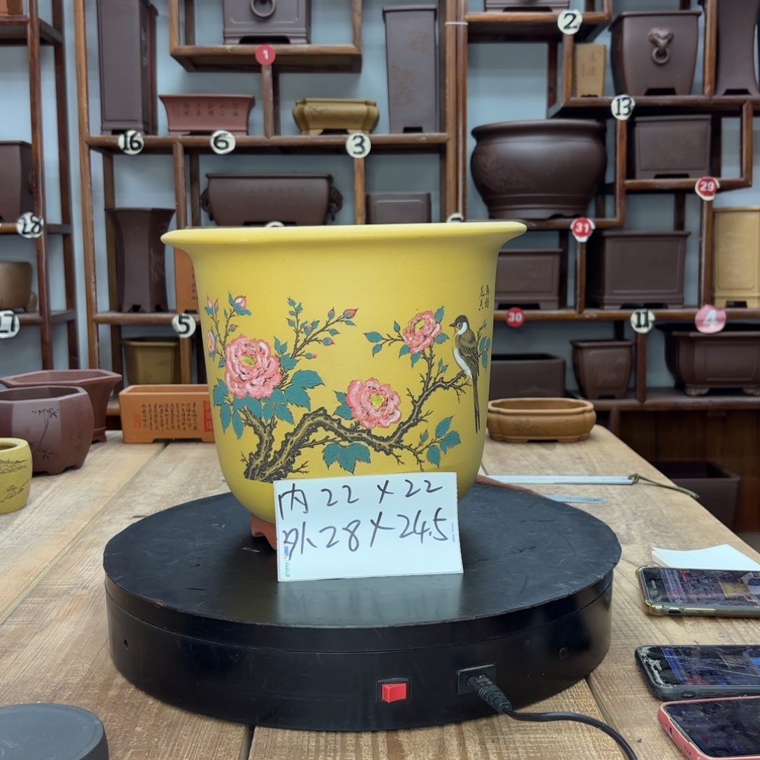 花盆紫砂福利秒杀优惠多多