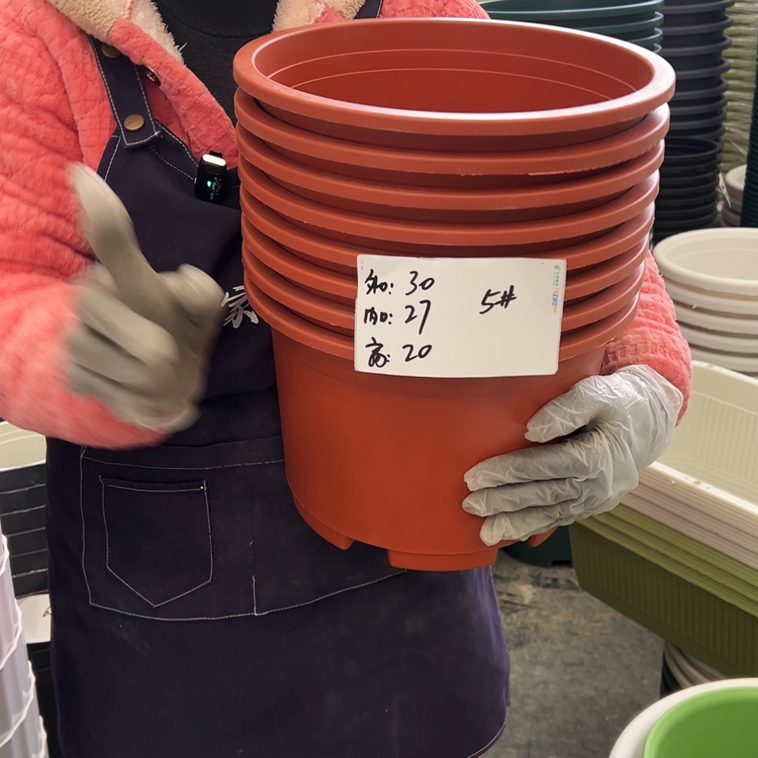 瑕疵矮胖5#红色10个无托