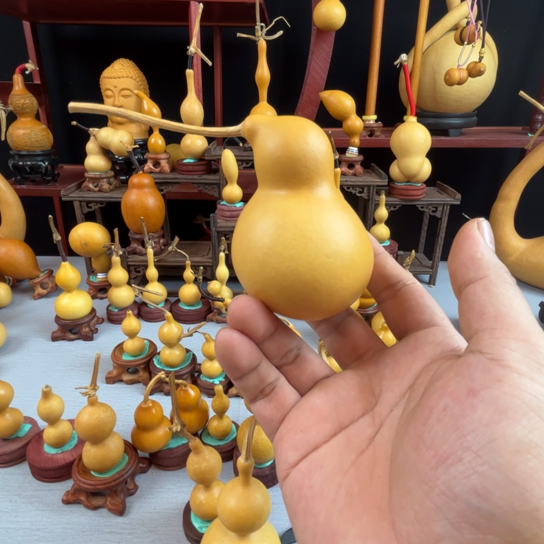 ·***梧藤木我的小可爱，一点也不像个女孩