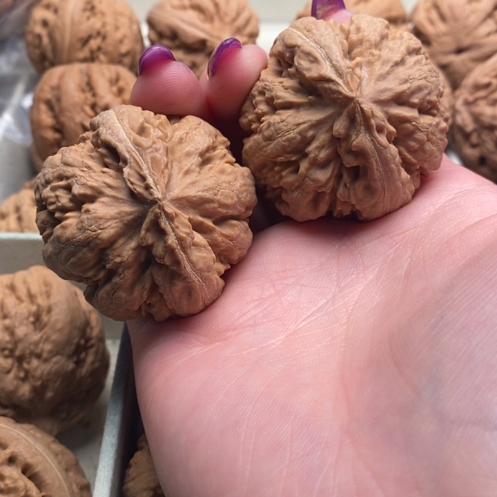 小***伟文玩核桃吊坠霸王龙