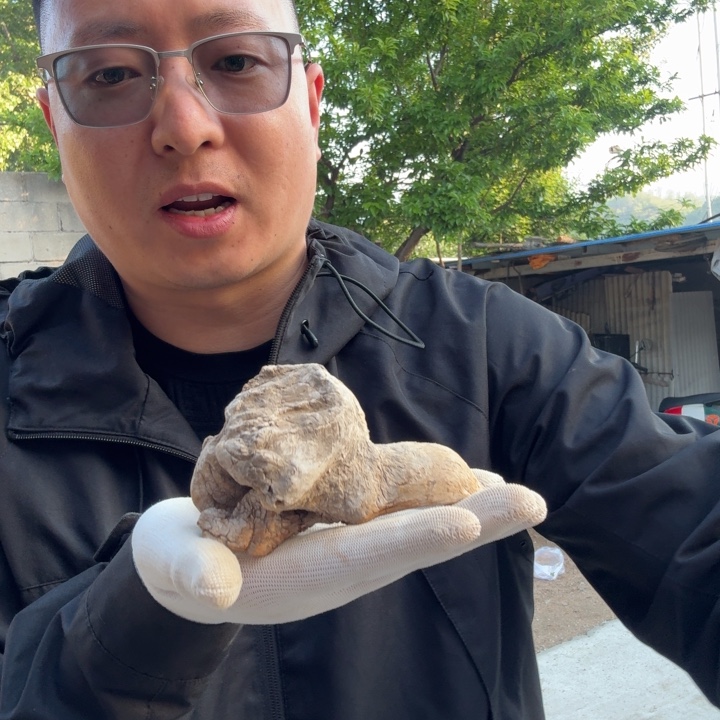 香榧木有*工艺品摆件精品