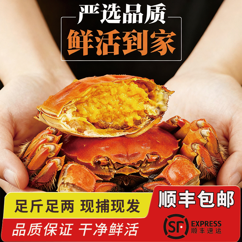 【活蟹】江苏洪泽湖大闸蟹鲜活全母（3.7-4.0两）8只