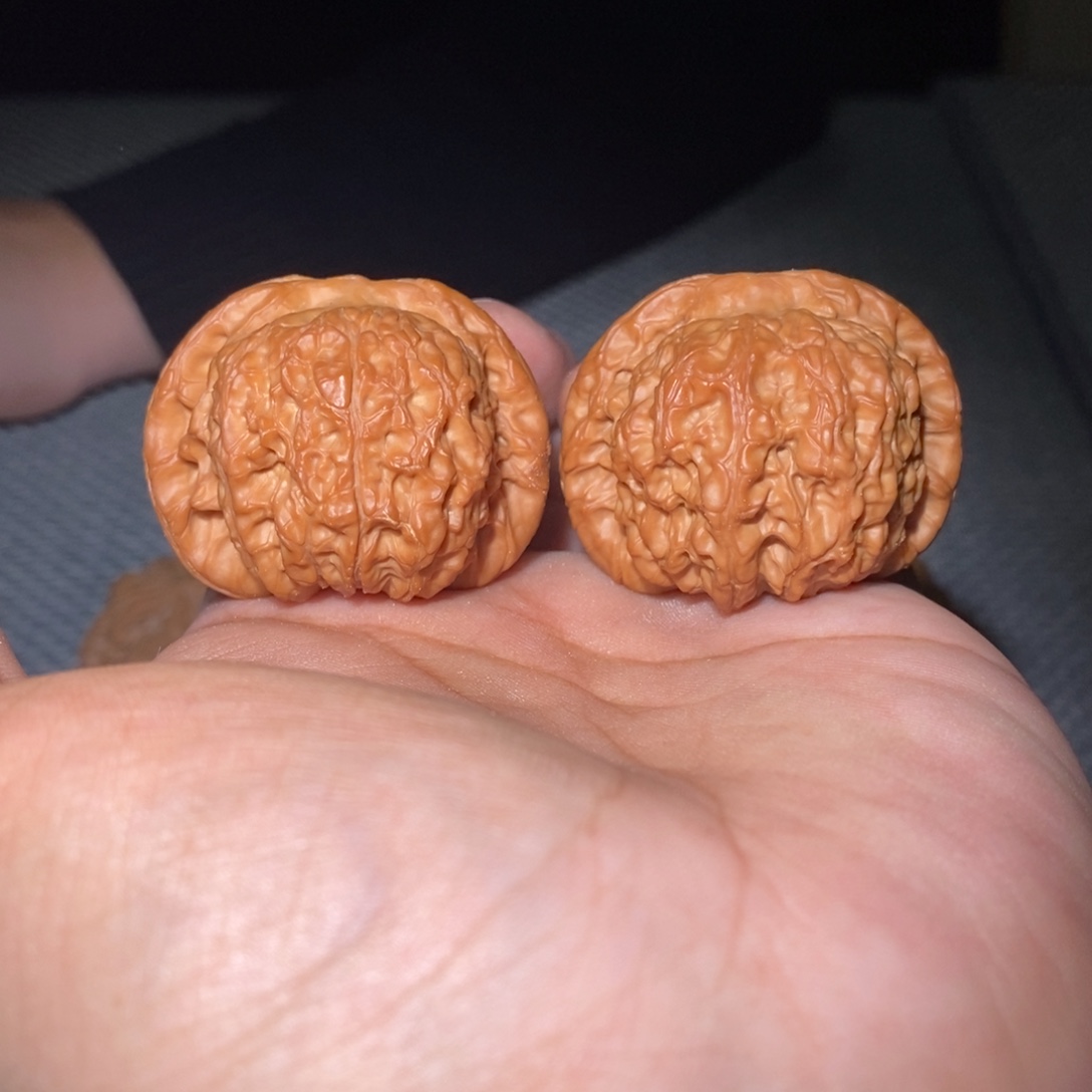41尺血麒麟。      