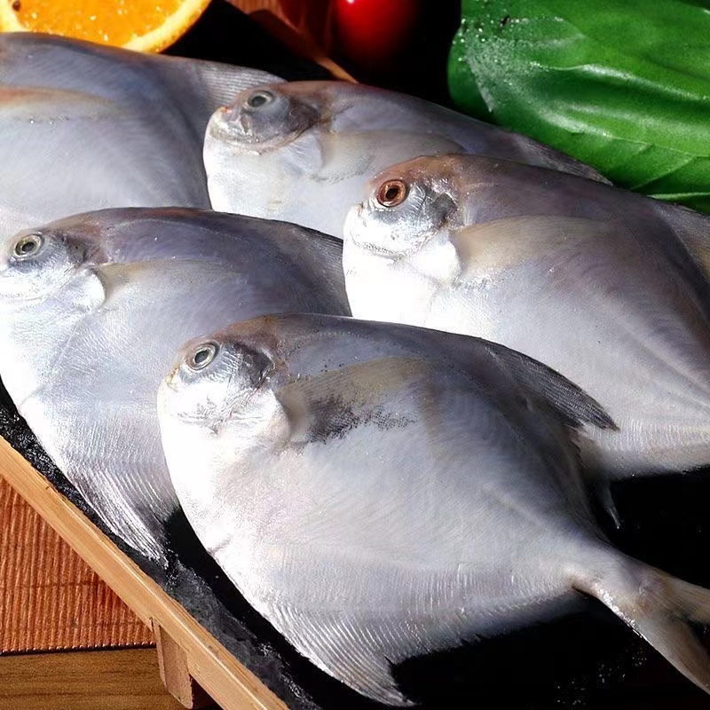 到手4斤 海捕银鲳鱼  刺少肉多 鲜嫩美味 新鲜速冻发货4-5个头
