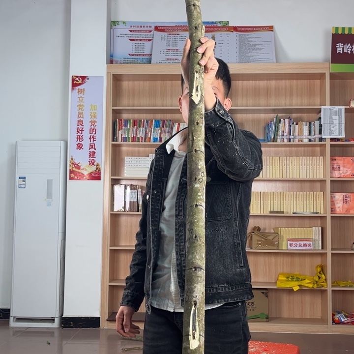 瑁***花沉香沉香碎屑奇楠金沙叶原木5-15