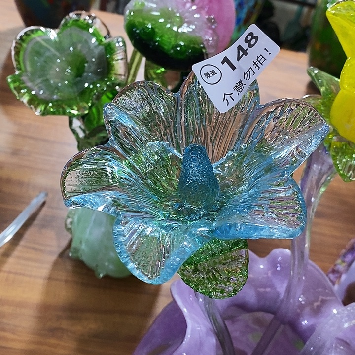 彩***条百合花高40厘米左右