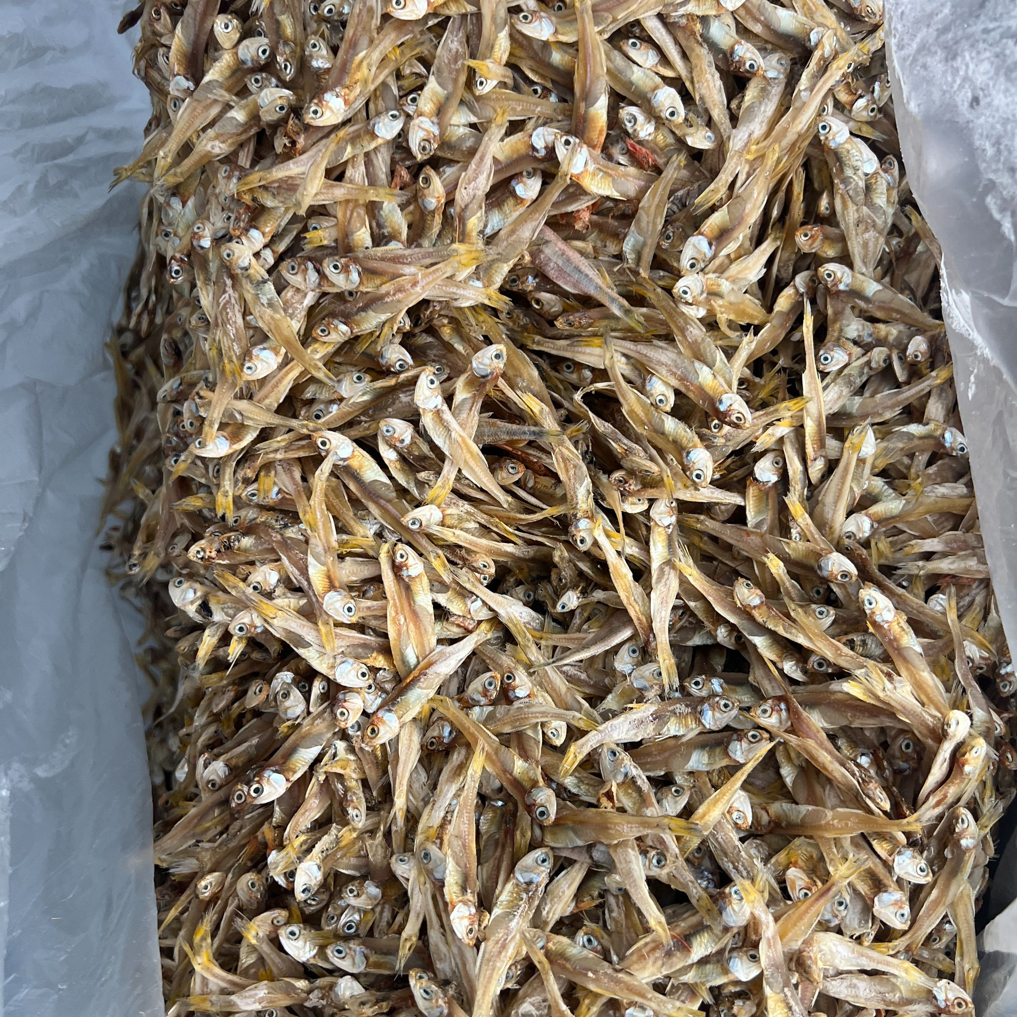 近海水干鱼顺丰包邮