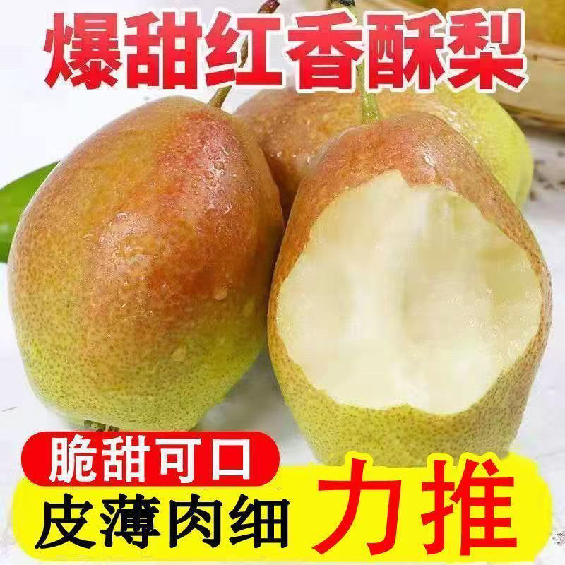 山西红香酥梨5斤香梨脆甜多汁新鲜水果农家自种薄皮产地直发