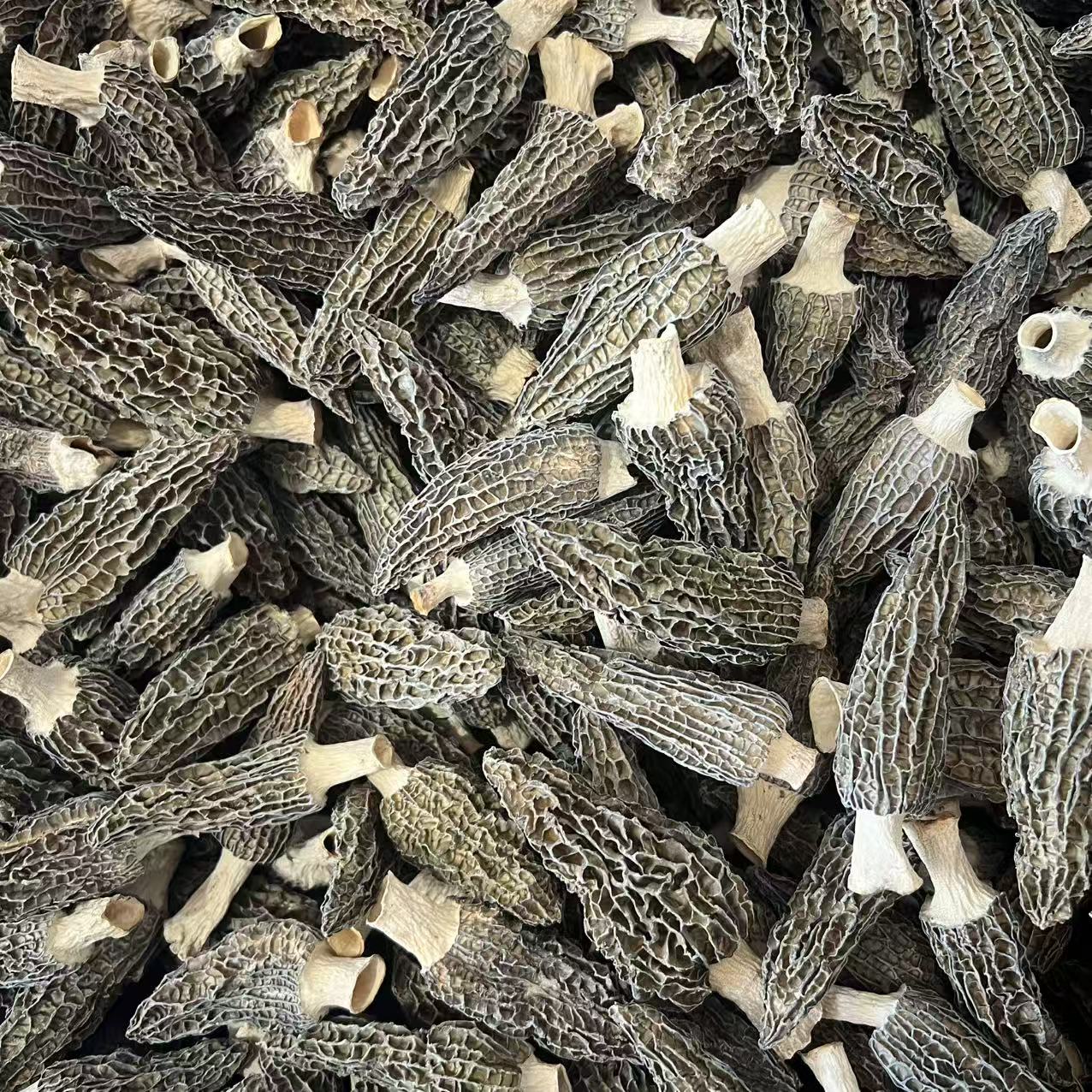 【益娜娜专属】6-9羊肚菌 250g放冰箱冷冻
