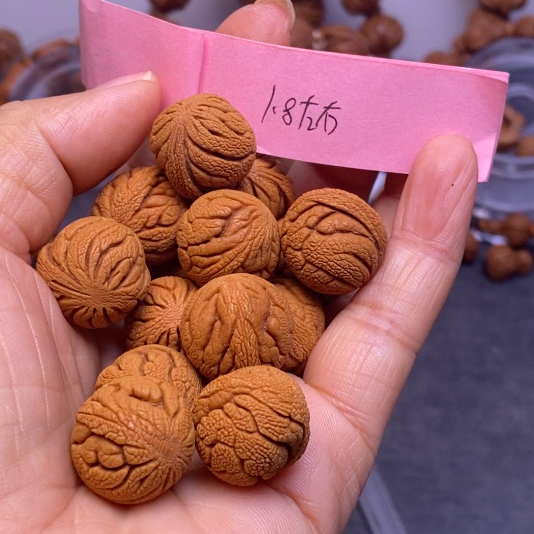 秦岭龙纹桃核14颗