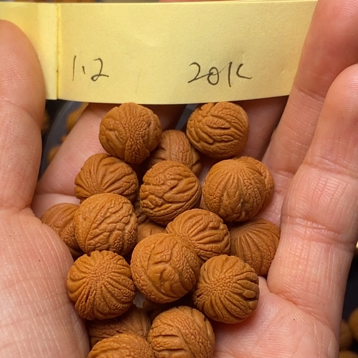 桃核吊坠秦岭龙纹桃核12尺寸