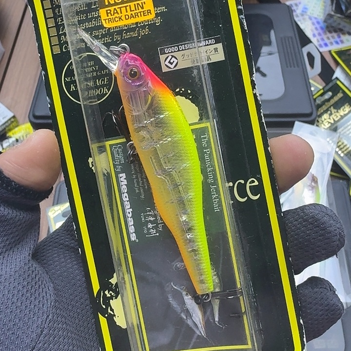 闪购专拍（图片为主）