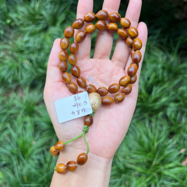 精卡厚8.4皂角籽36颗手持将军树富贵菩提配南酸枣五眼六通8mm