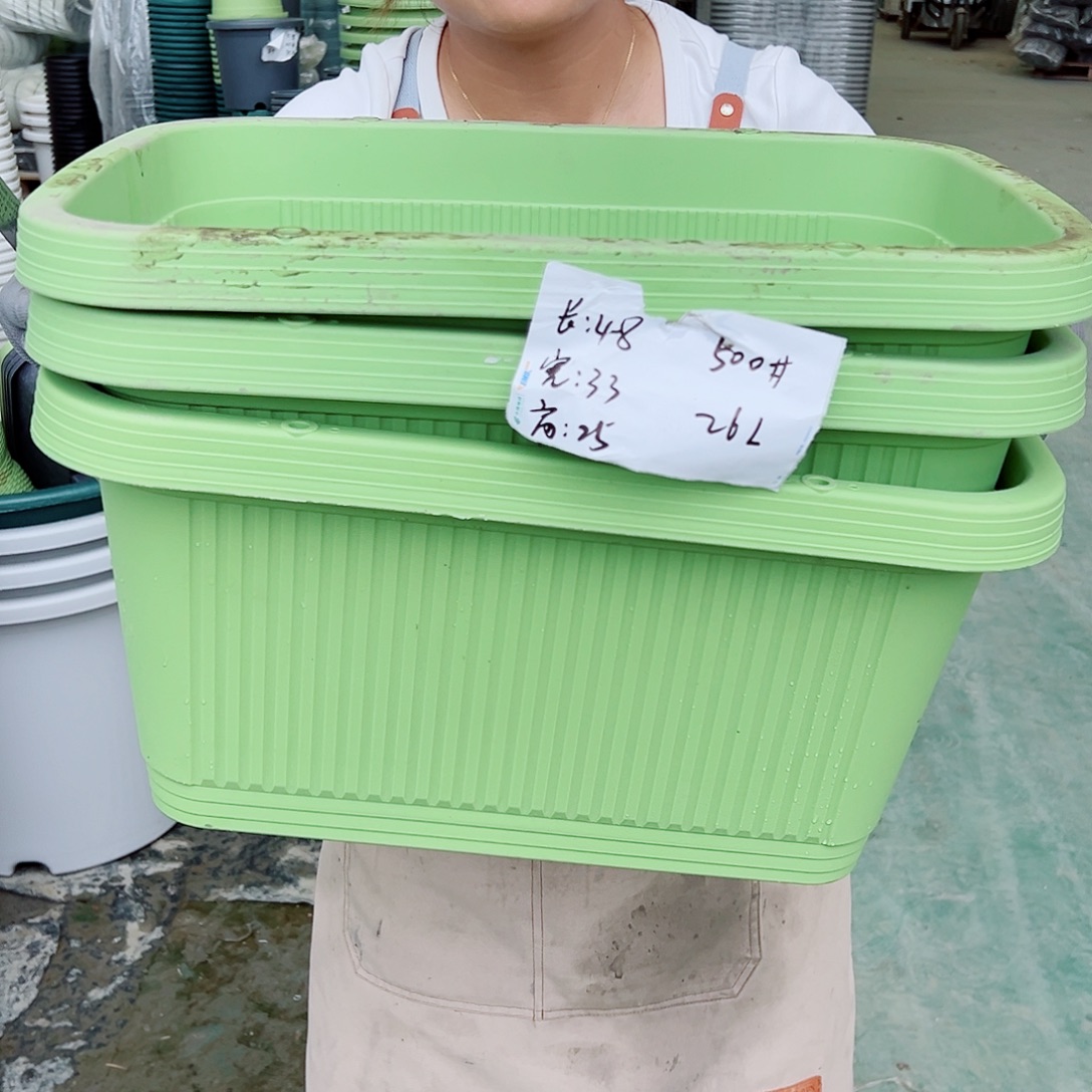 菜盆500#果绿色3个无托