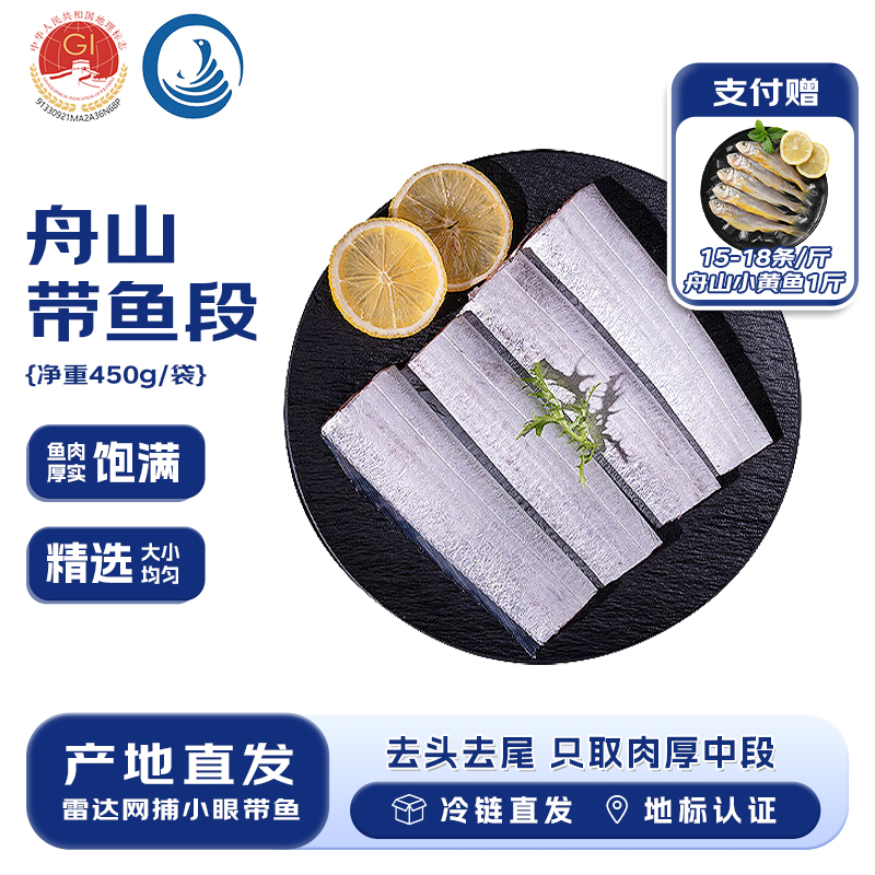 海鼎纪精选舟山带鱼纯中段新鲜无冰无内脏免处理450g/袋*5袋