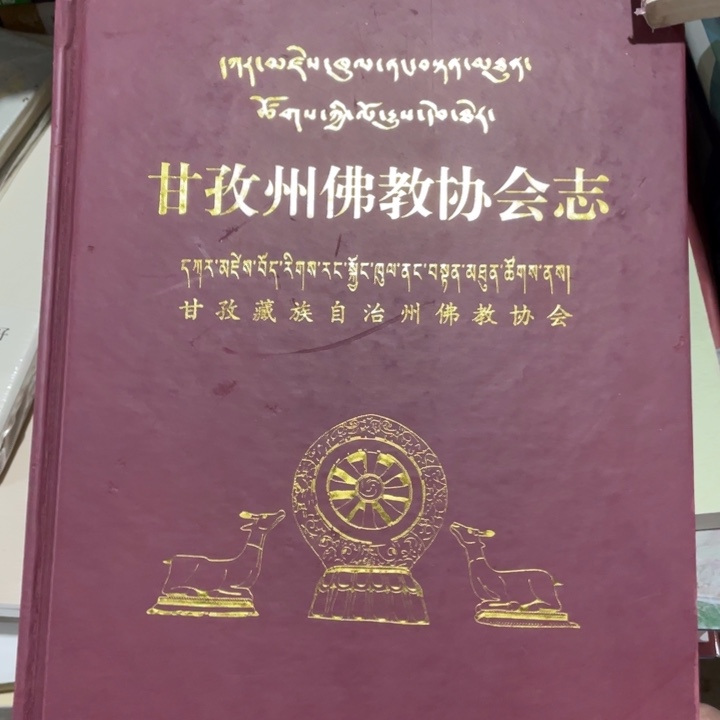 甘孜州佛教协会志精装