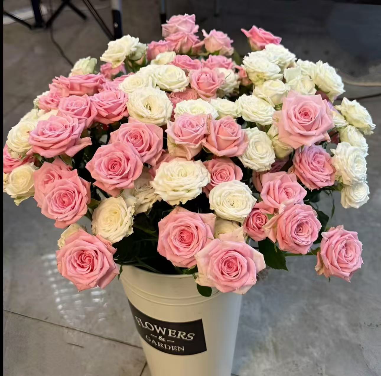 【陌上花开】雪映桃花-多头玫瑰（收到请带包装醒花~）