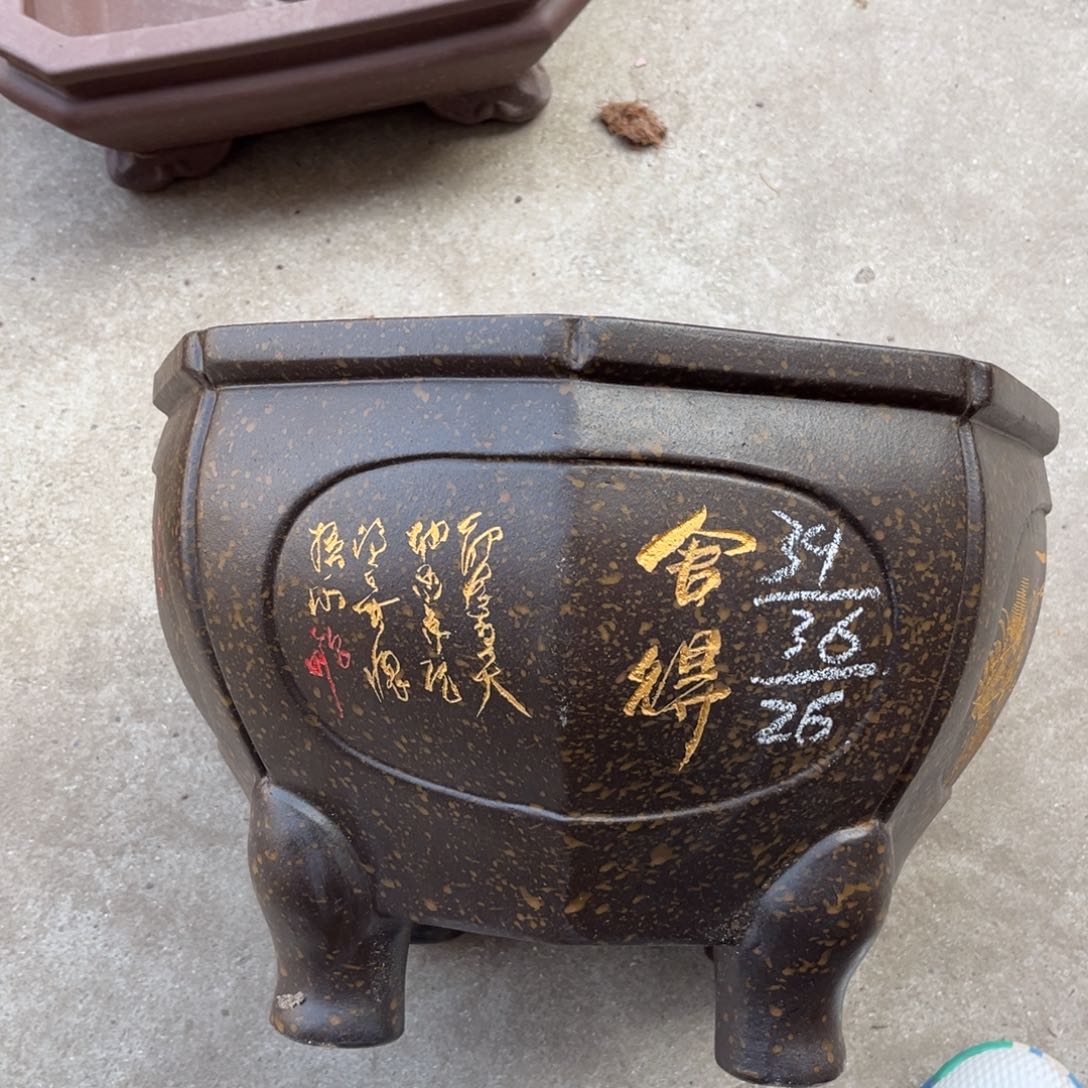 紫砂花盆盆景艺术