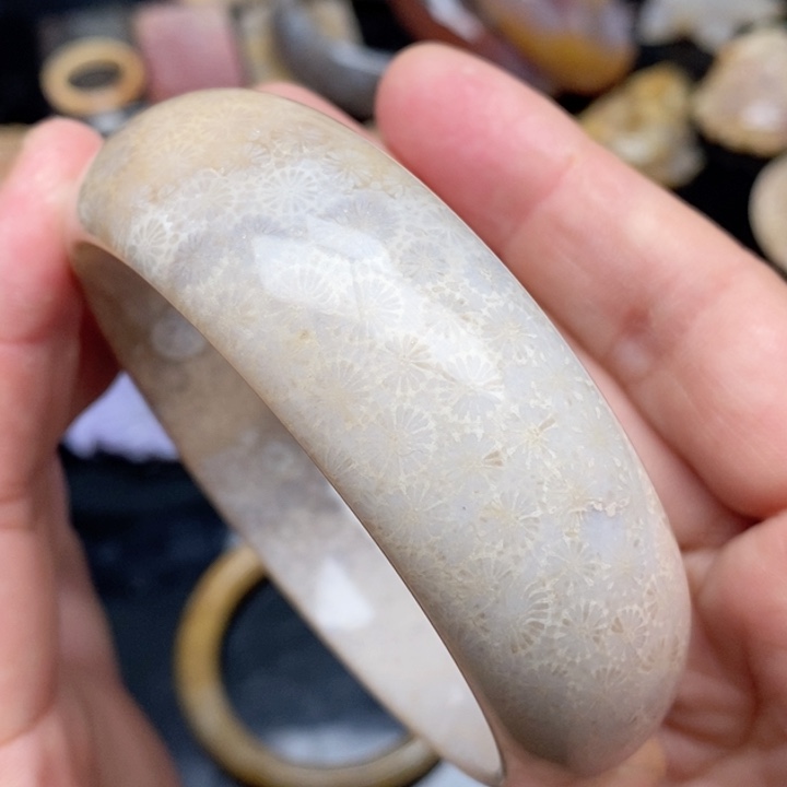 硅化珊瑚（珊瑚玉）手镯未镶嵌61