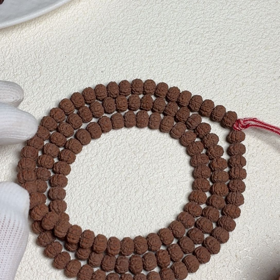 吊坠金刚菩提纯血乌利达老树王