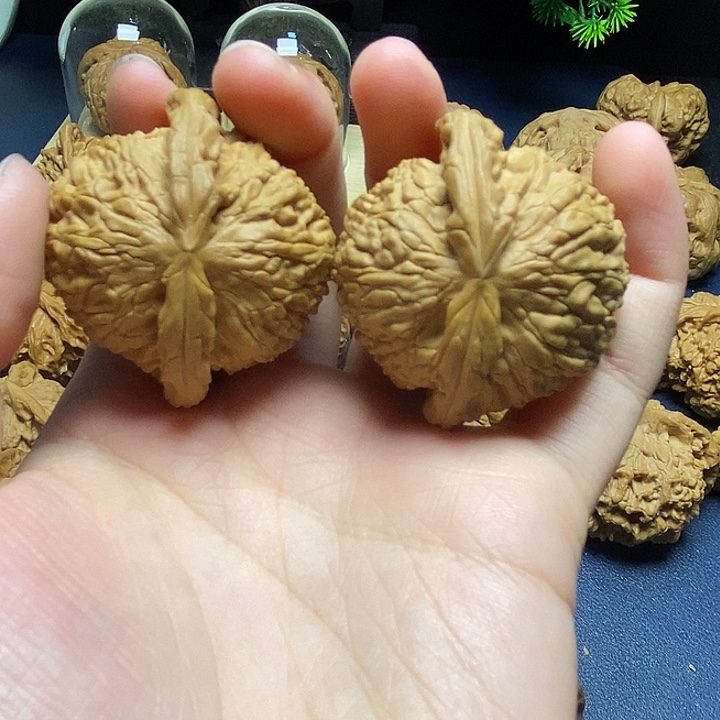 把件桃核白狮子异形13