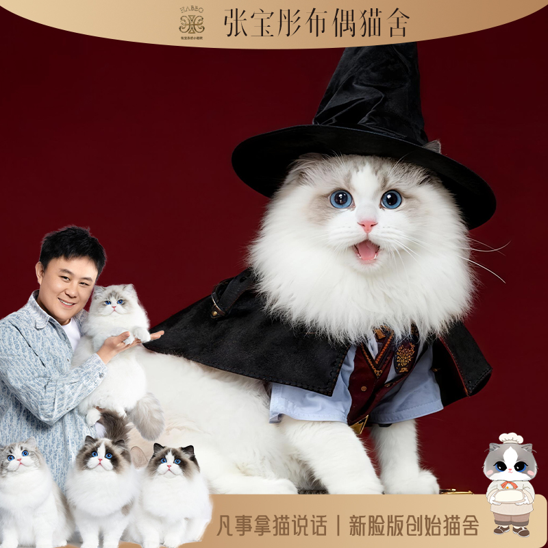 张宝彤布偶猫舍-跳跳糖弟弟| 新脸版创始猫舍