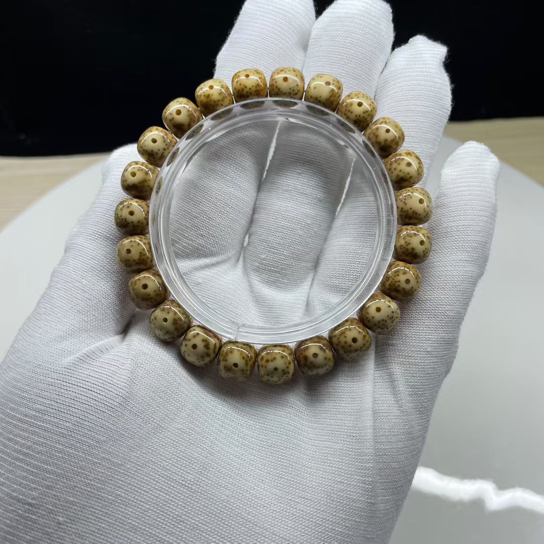金花虎皮5年陈籽10×9大眼睛小细星