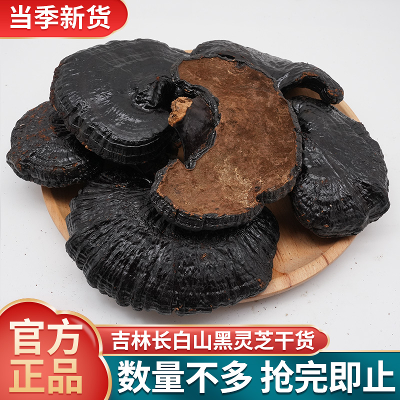 正宗长白山黑灵芝官方正品整枝灵芝干货泡酒煲汤黑灵芝批发