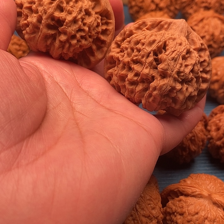 大官帽未打底练手对