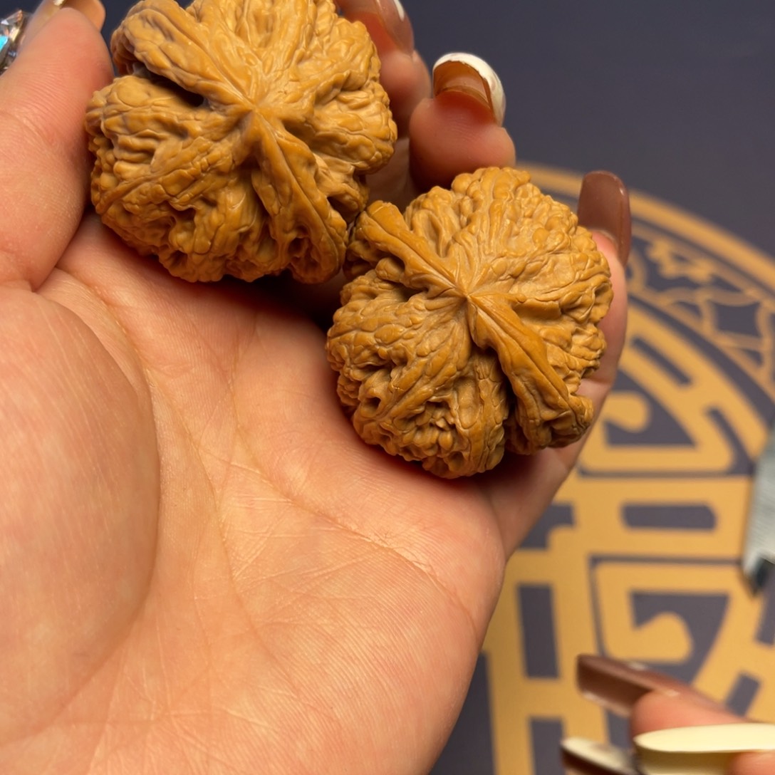 文玩核桃把件大粗筋