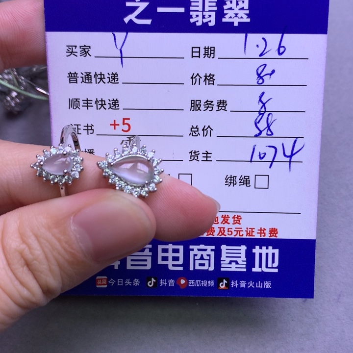 翡翠颈饰银S925镶嵌Y****?