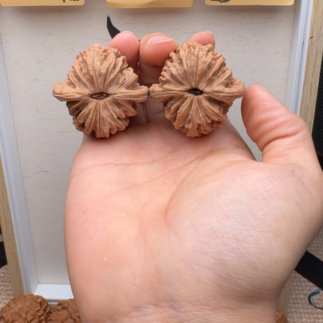 文玩核桃把件4211楼子