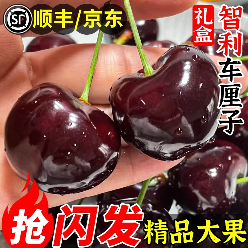 【顺丰】5斤智利桑提娜车厘子2J果王樱桃新鲜水果海运现货速发包邮内附果径卡桑提娜樱桃智利共和国