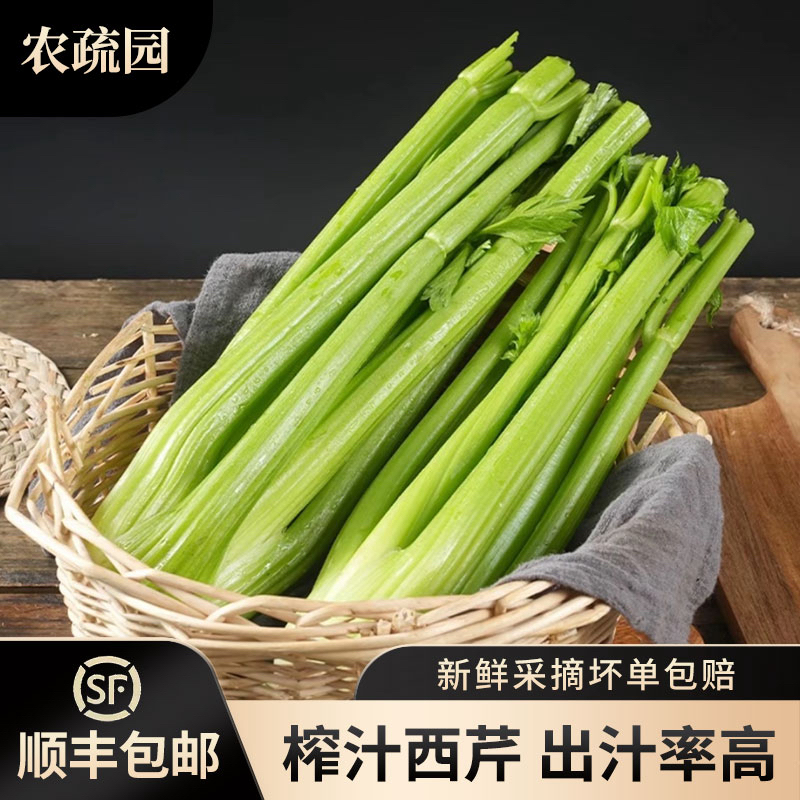 【顺丰包邮】山东寿光露天西芹去叶榨汁脆嫩多汁3/5斤西芹现挖现发