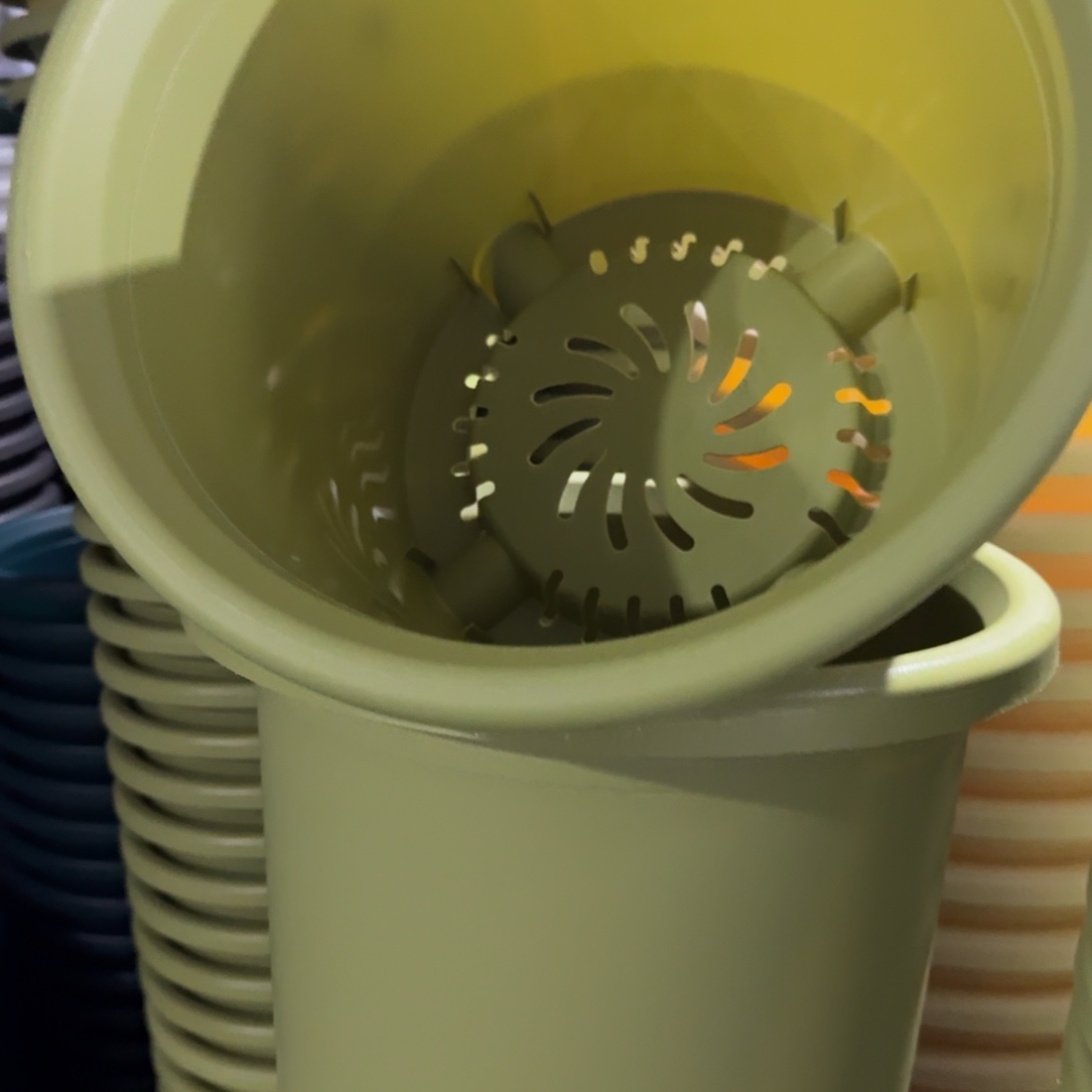 微瑕6号无拖果绿7个