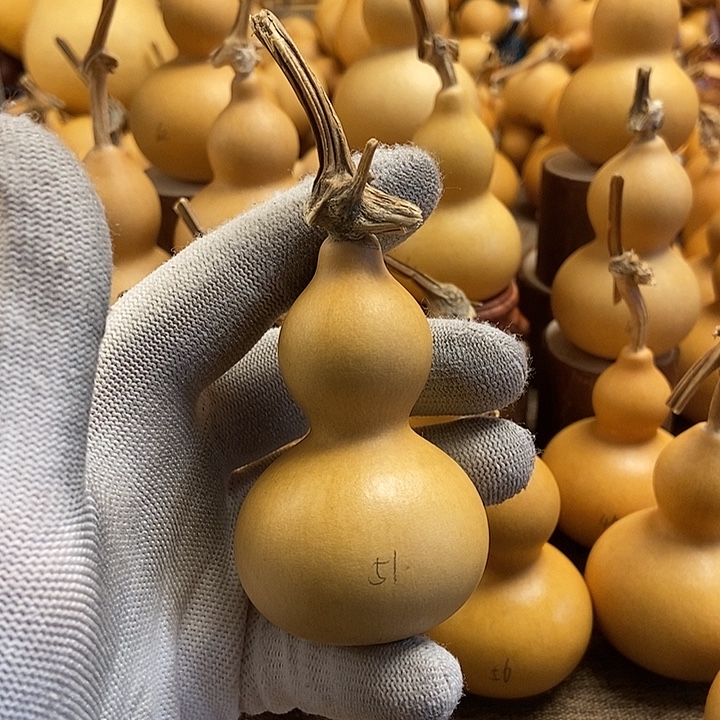 文玩葫芦 完美主义者 慎拍51