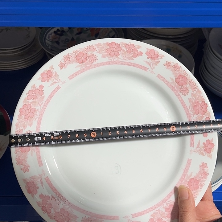 醴陵釉下五彩官窑瓷器20.5厘米红山春平盘