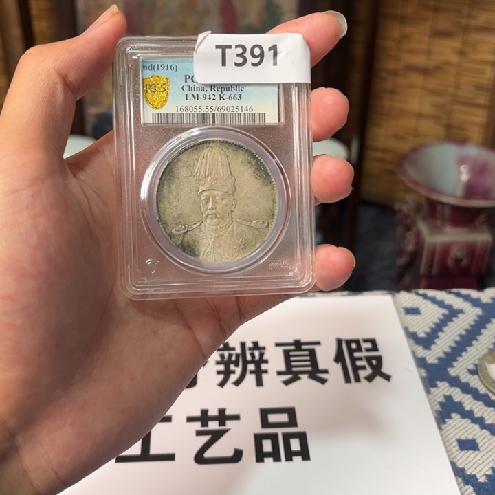 T391高帽飞龙币子