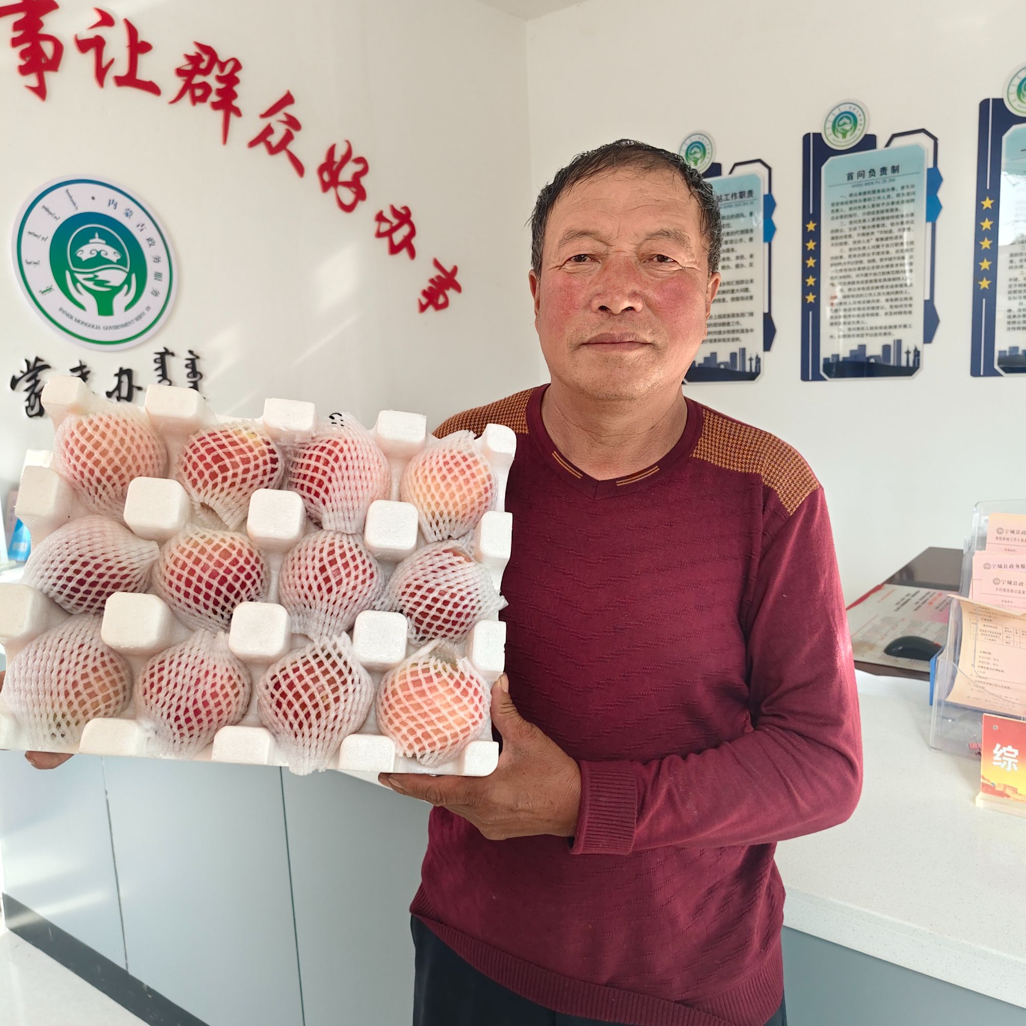 内蒙古赤峰小城子清脆酸甜苹果