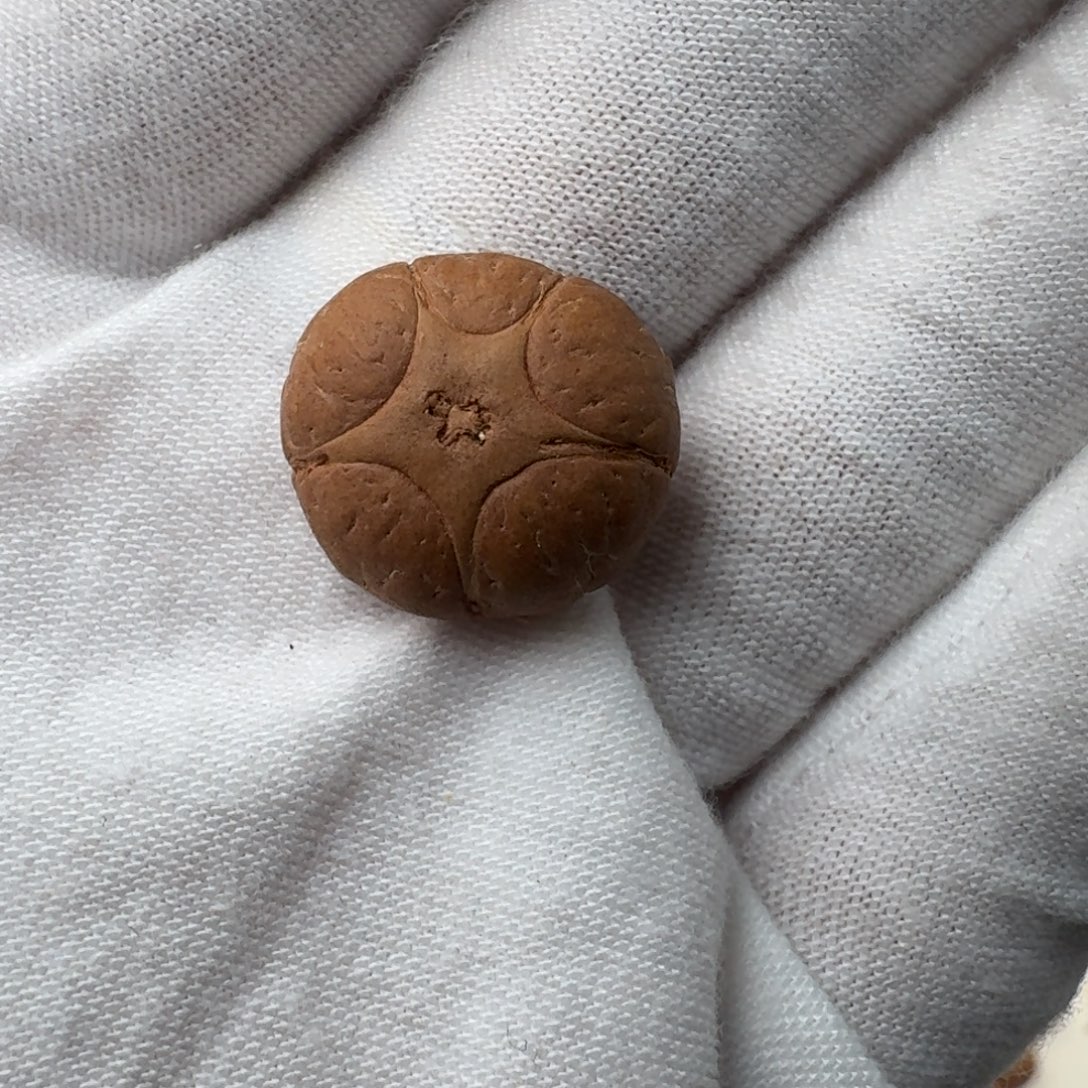 凤眼菩提吊坠五星