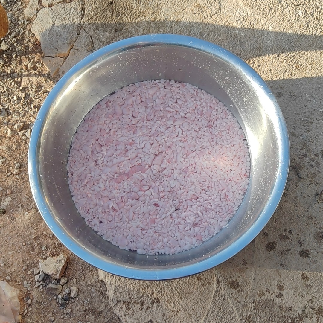 新鲜纯蛇油500克