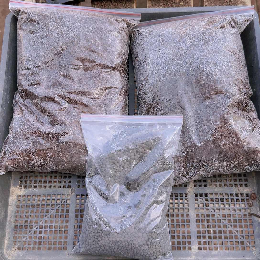 多肉两袋土➕一袋肥