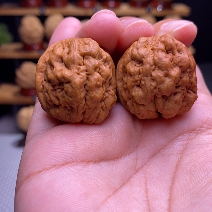 木质类云铁血舍利23号